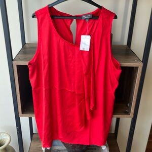 The limited - L- brand new with tags has a lovely overlay, pleaded in the front